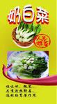 奶白菜
