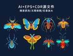 卡通手绘昆虫
