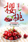 樱桃采摘 新鲜樱桃