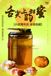 舌尖上的蜜 蜂蜜 肖
