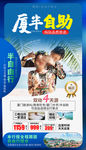 福建厦门旅游海报