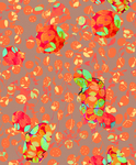 几何花卉
