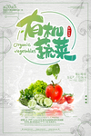 有机蔬菜 肖