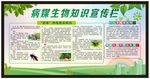 病媒知识宣传