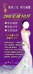 瘦身三宝展架
