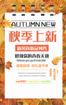 秋季上新 肖