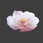 手绘花