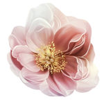 手绘花