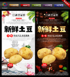 土豆