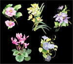 花
