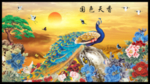 孔雀图