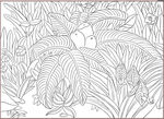 植物绘图