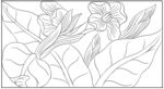 花卉
