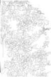 白描花鸟图