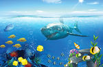 海底生物