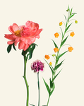 花