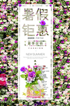 暑假钜惠