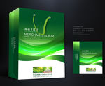 绿色手提袋 手提袋设计 手提袋