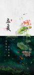 立夏 节气  荷花 鱼 清爽