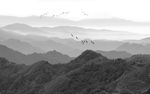 中国画 远山
