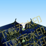奶奶证件照