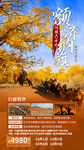胡杨林