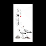 白露