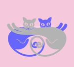 猫猫