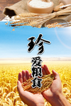 节约粮食