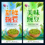 豌豆