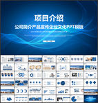 商务简约项目介绍PPT