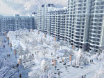 中庭雪景