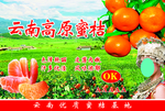 蜜桔
