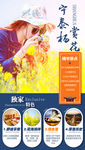 华东旅游海报
