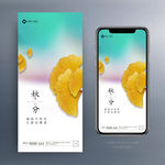 秋分 地产