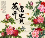 花开富贵牡丹