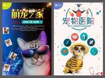 宠物