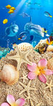 海底世界海豚海螺贝壳3D玄关