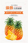 菠萝海报