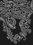 佩斯利花纹