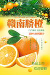 赣南脐橙海报