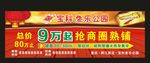宝科 鱼乐公园 抢商圈商铺