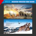 企业狼文化