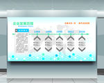 企业发展历程