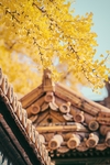 背景图