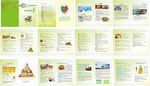营养科营养膳食画册手册