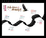 企业发展历程