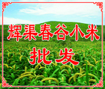 谷子