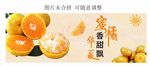 蜜橘桔子