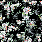 玫瑰花